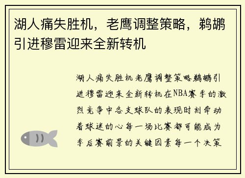 湖人痛失胜机，老鹰调整策略，鹈鹕引进穆雷迎来全新转机