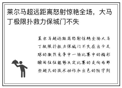 莱尔马超远距离怒射惊艳全场，大马丁极限扑救力保城门不失