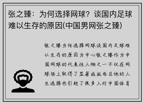 张之臻：为何选择网球？谈国内足球难以生存的原因(中国男网张之臻)